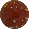 Neutralization assay Accepted Plaques are surrounded Icon