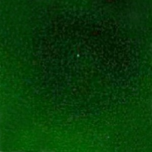 Application Infection assay