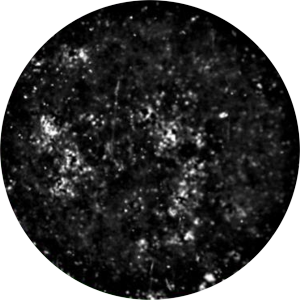 Application Unstained cells