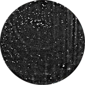 Application NK92 cells natural killer cells (human cell line) same samples microwell plate.
