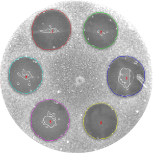 Application Antibiotic potency USP/PhEur/DIN/BP Petrishes